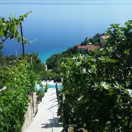 Waterview - Koru And Pool Apartment *