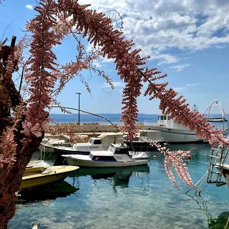 Waterview - Koru And Pool * Mimice