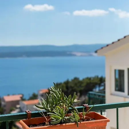 Apartment Waterview - Koru And Pool *